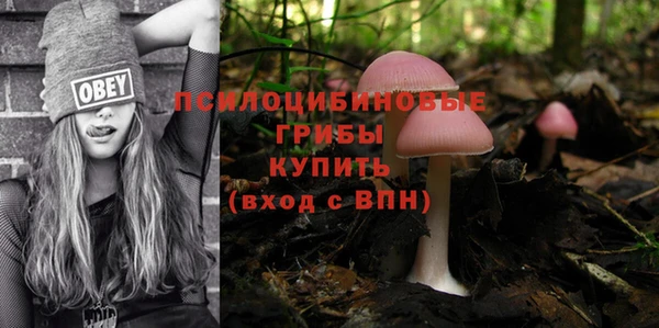 Альфа ПВП Абаза