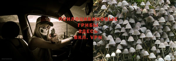 Альфа ПВП Абаза